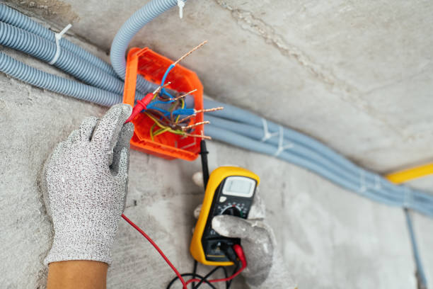 Best Ceiling Fan Installation Electrician  in Dupo, IL