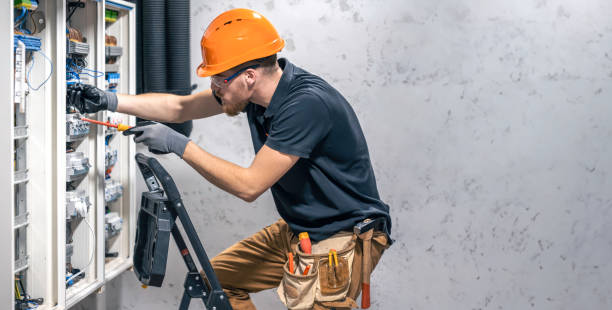 Best Electric Panel Repair  in Dupo, IL